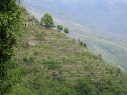thumbs/img_1026.jpg.jpg